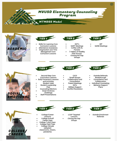 MVUSD Counseling Program